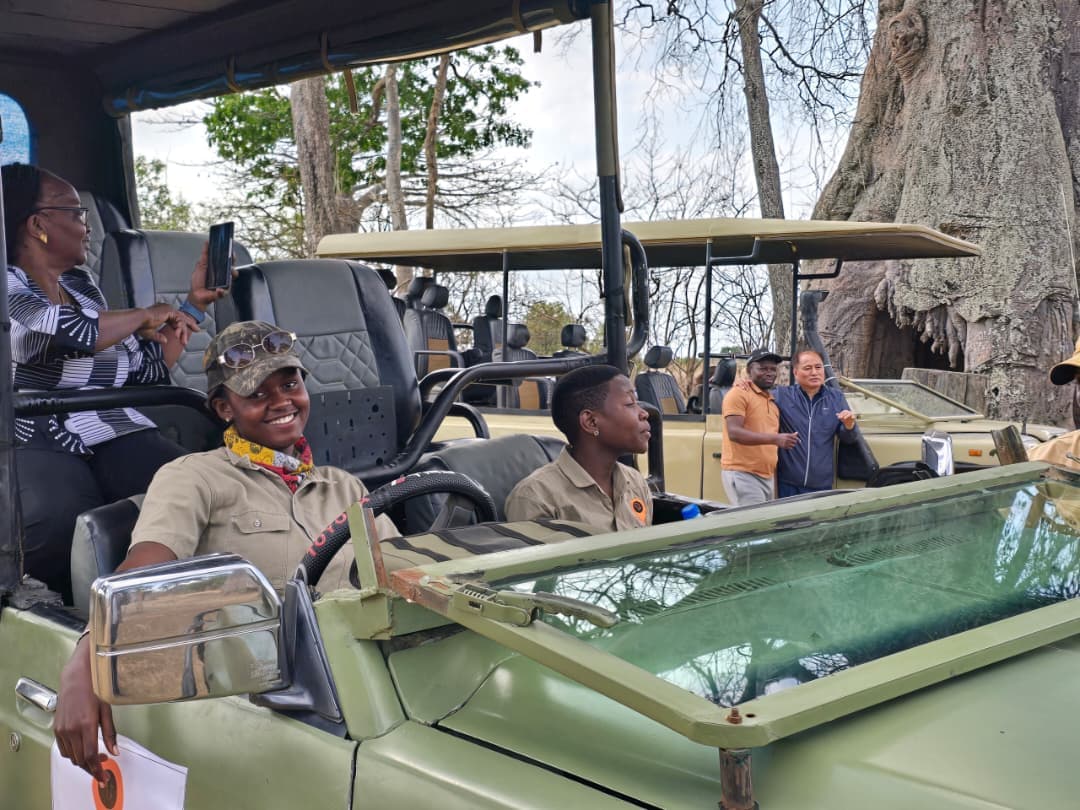 Mikumi National Park safari moment 19