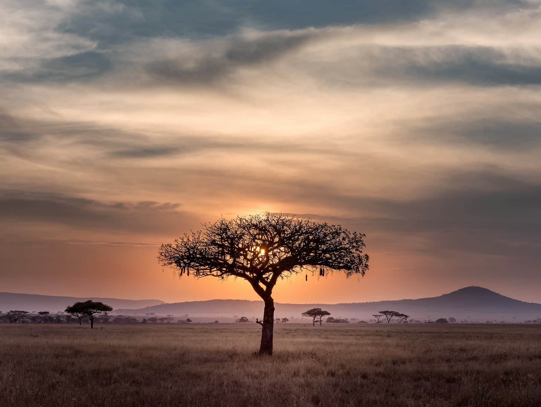 Luxury Honeymoon Safari